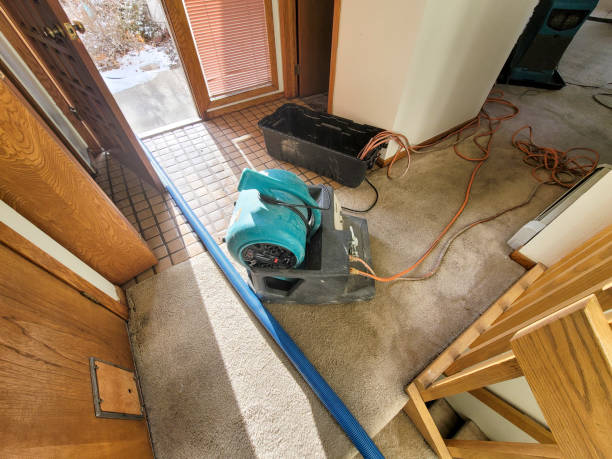 Best Flood Cleanup and Water Removal in Beaver, UT