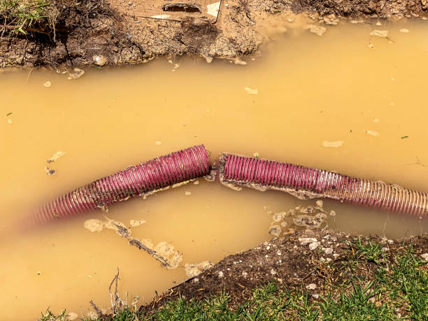  Beaver, UT Water damage restoration Pros