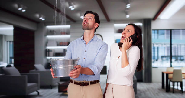 Best Ceiling and Wall Water Damage Repair in Beaver, UT